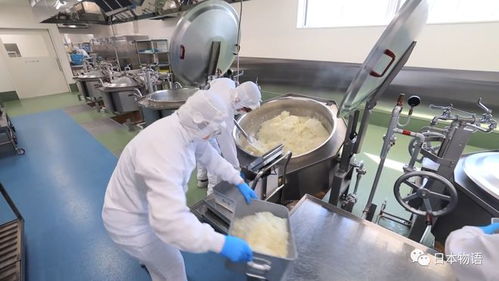 日本的孩子不吃盒飯,來看看日本的食品加工廠,是如何制作中小學(xué)生午餐的