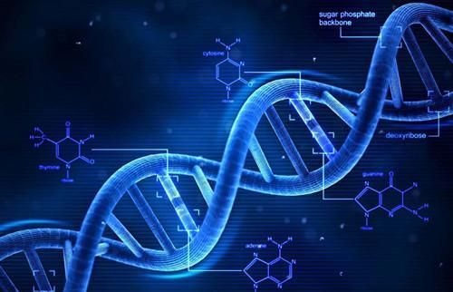克隆技術(shù) 從喧囂到沉寂，科學(xué)家的解答揭示深層原因