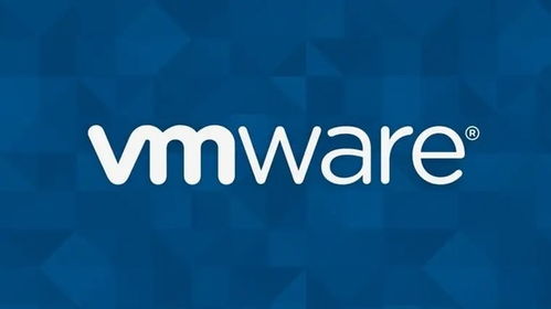 VMware發(fā)布vSphere與vSAN應(yīng)用軟件服務(wù)，以集中式基礎(chǔ)架構(gòu)管理簡(jiǎn)化運(yùn)營(yíng)