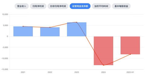 中創(chuàng)股份 上市光環(huán)下的業(yè)績(jī)變奏與增長(zhǎng)隱憂